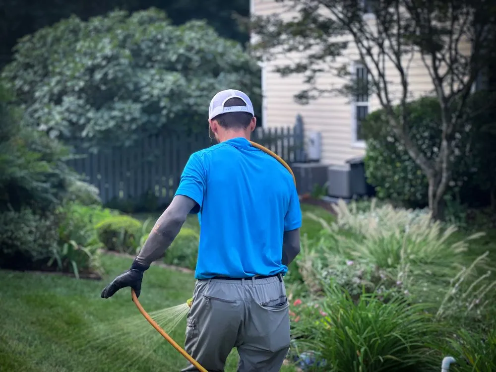Local outdoor landscaping experts serving Huntersville, NC - Canopy Lawn Care