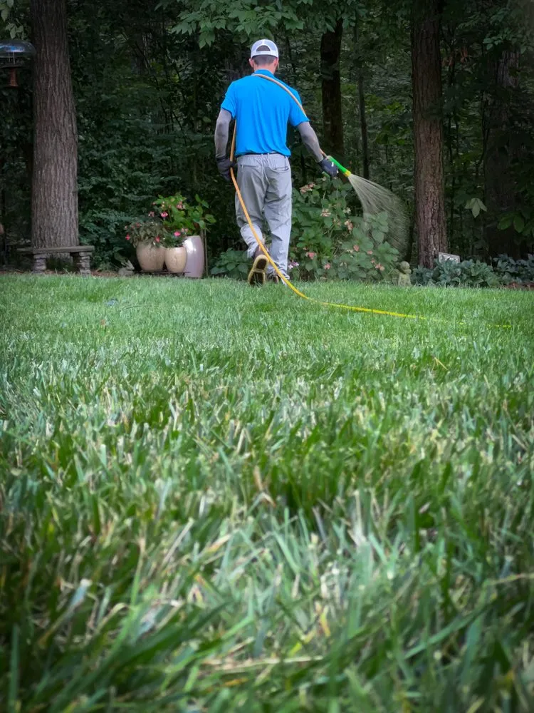 Expert lawn care service for residential properties across Huntersville, NC - Canopy Lawn Care