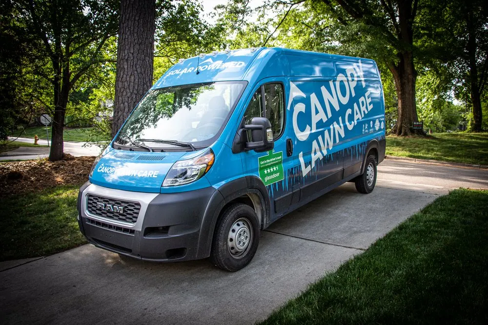 Expert yard cleanup service in Huntersville, NC by Canopy Lawn Care