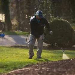 Trusted landscape design in Huntersville, NC - Canopy Lawn Care