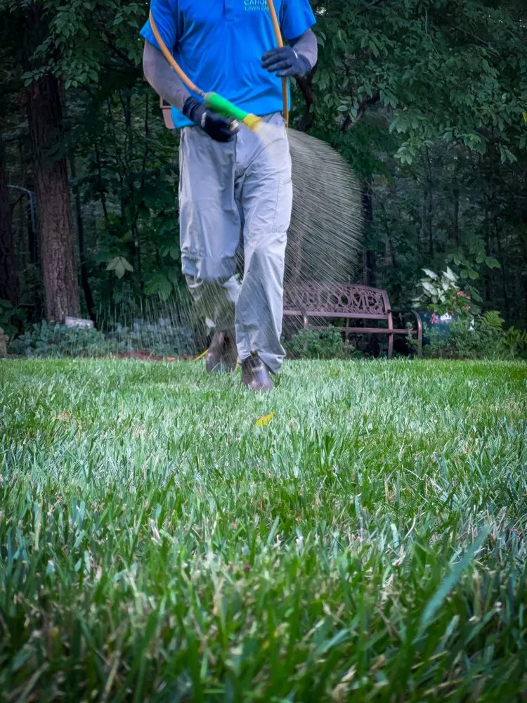 Professional yard cleanup service in Huntersville, NC by Canopy Lawn Care