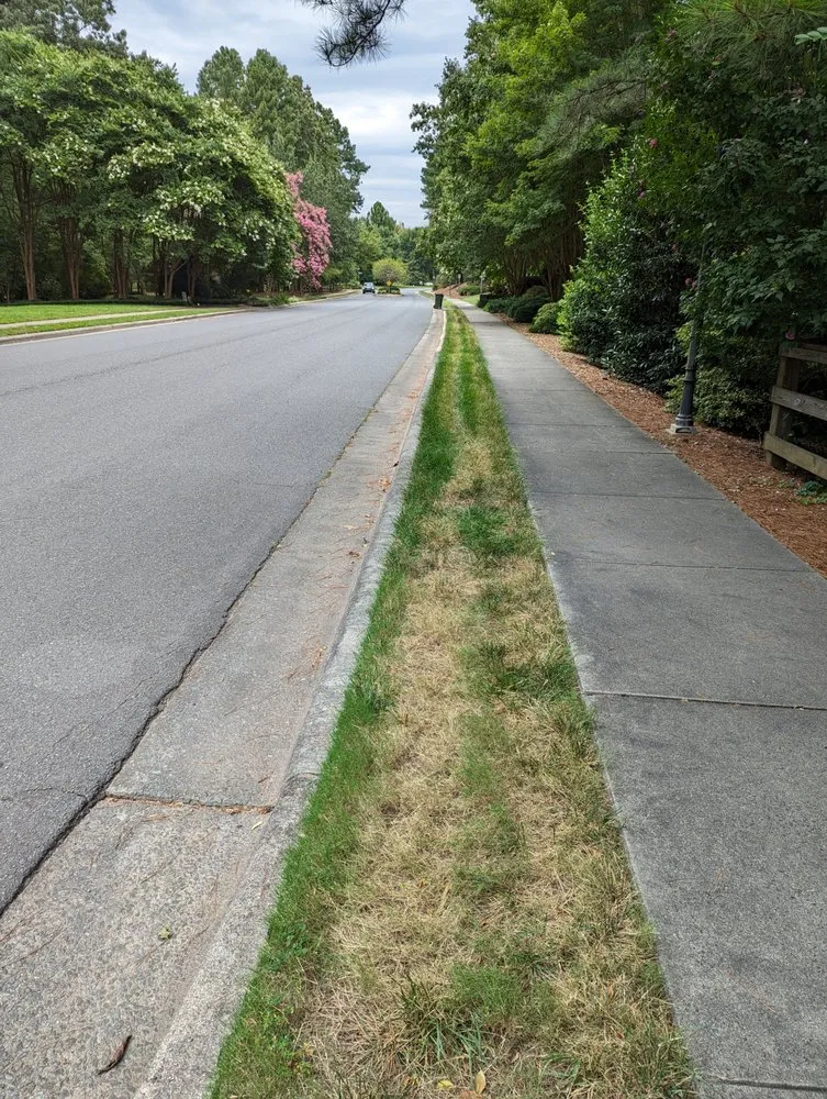 Top-rated landscape installation in Raleigh, NC - Canopy Lawn Care
