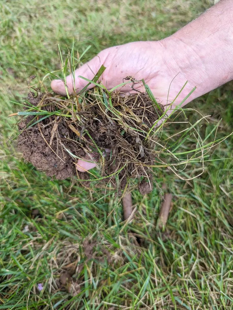 Local lawn mowing service experts serving Raleigh, NC - Canopy Lawn Care