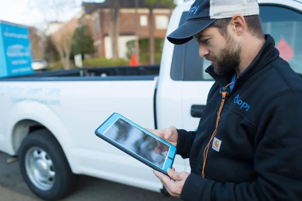 Affordable landscaping services for outdoor upgrades in Raleigh, NC by Canopy Lawn Care