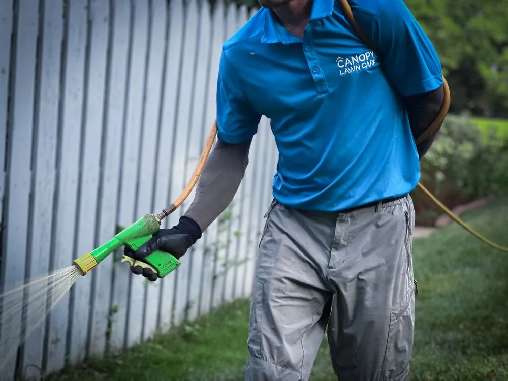 Custom landscape design in Raleigh, NC - Canopy Lawn Care