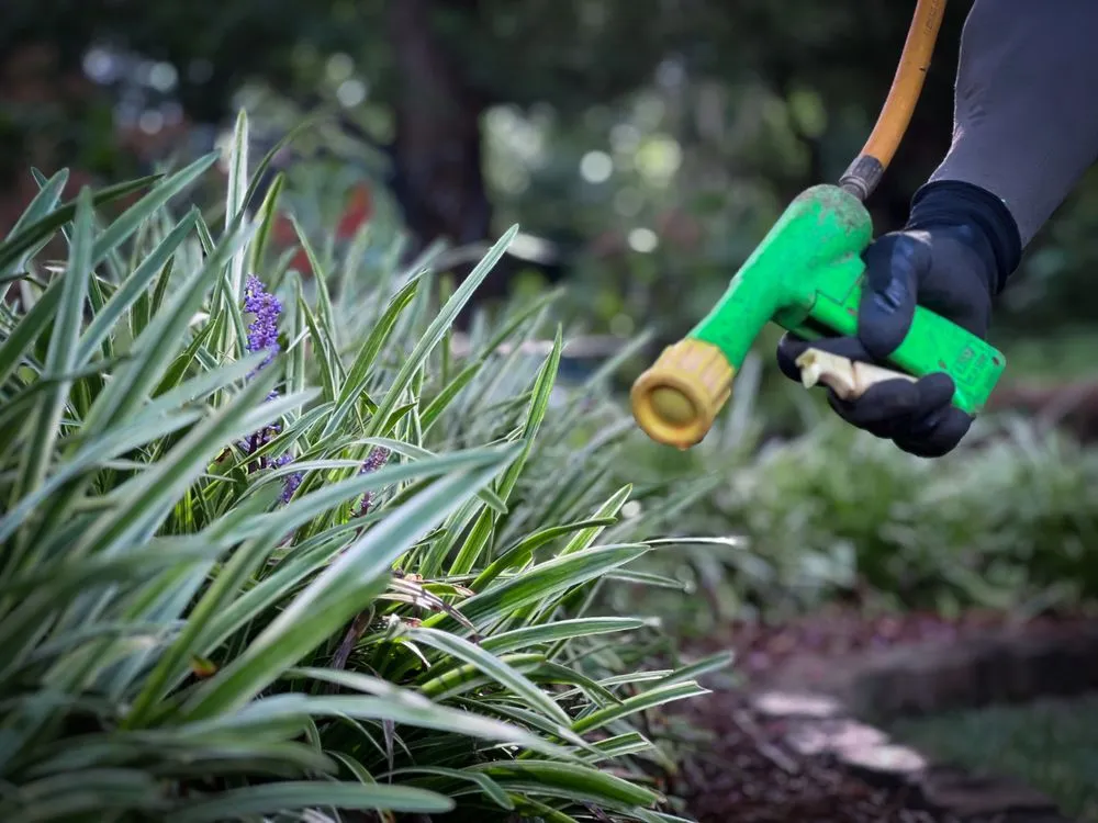 Expert outdoor landscaping in Raleigh, NC - Canopy Lawn Care