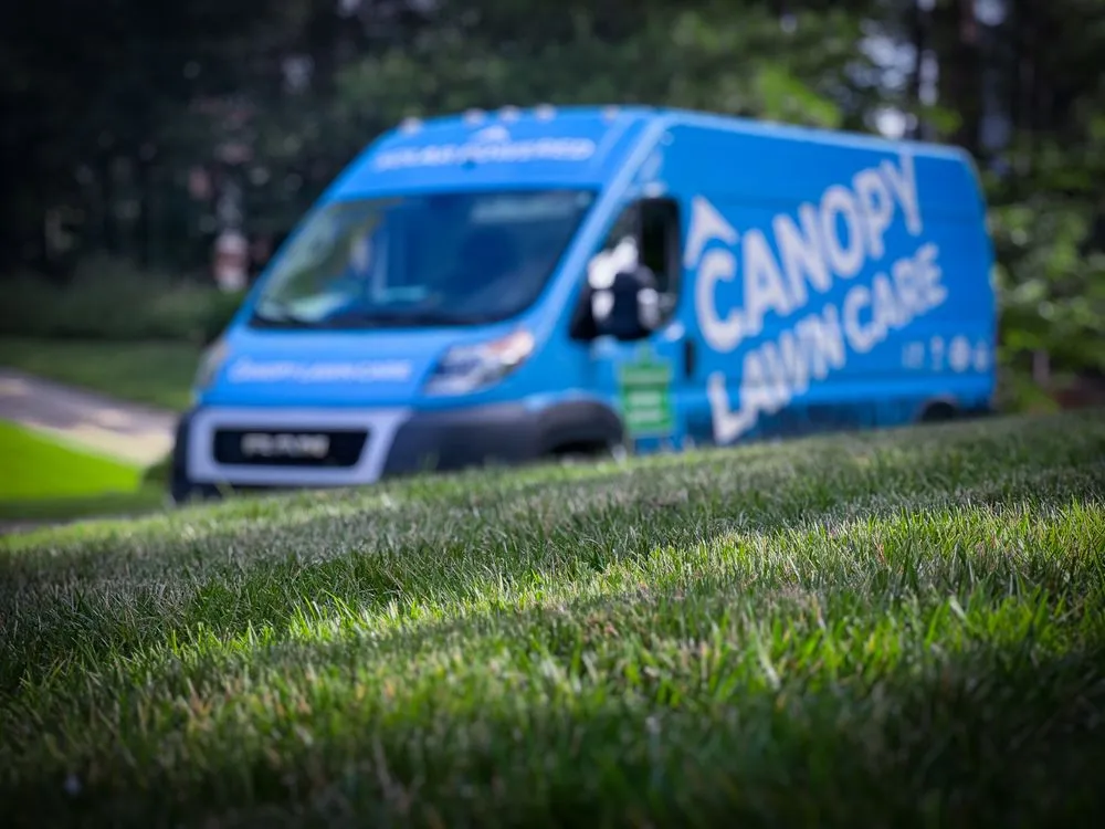 Custom yard maintenance for homes in Raleigh, NC by Canopy Lawn Care