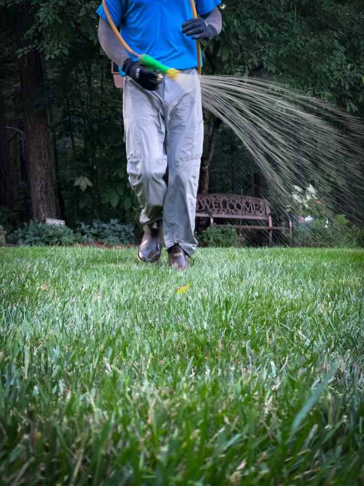 Trusted garden landscaping in Raleigh, NC - Canopy Lawn Care