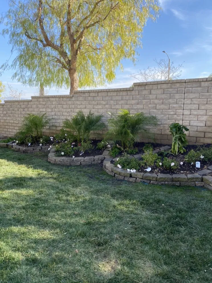Top-rated landscape installation for year-round maintenance in Santa Clarita, CA by Canos Landscape
