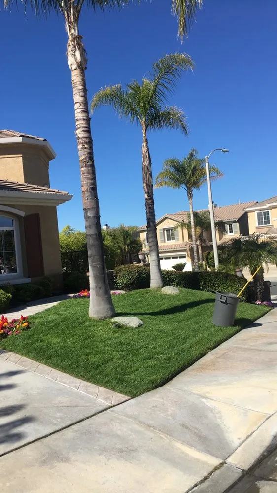 Top-rated lawn mowing service in Santa Clarita, CA - Canos Landscape