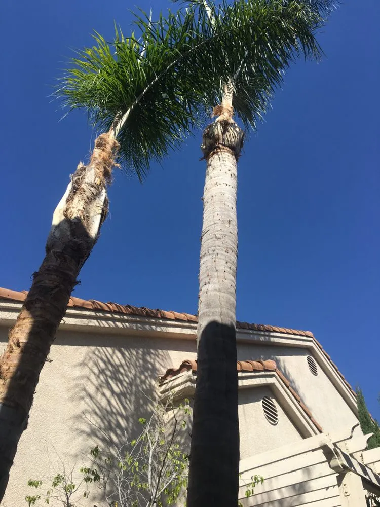 Affordable landscape installation for beautiful yards in Santa Clarita, CA by Canos Landscape