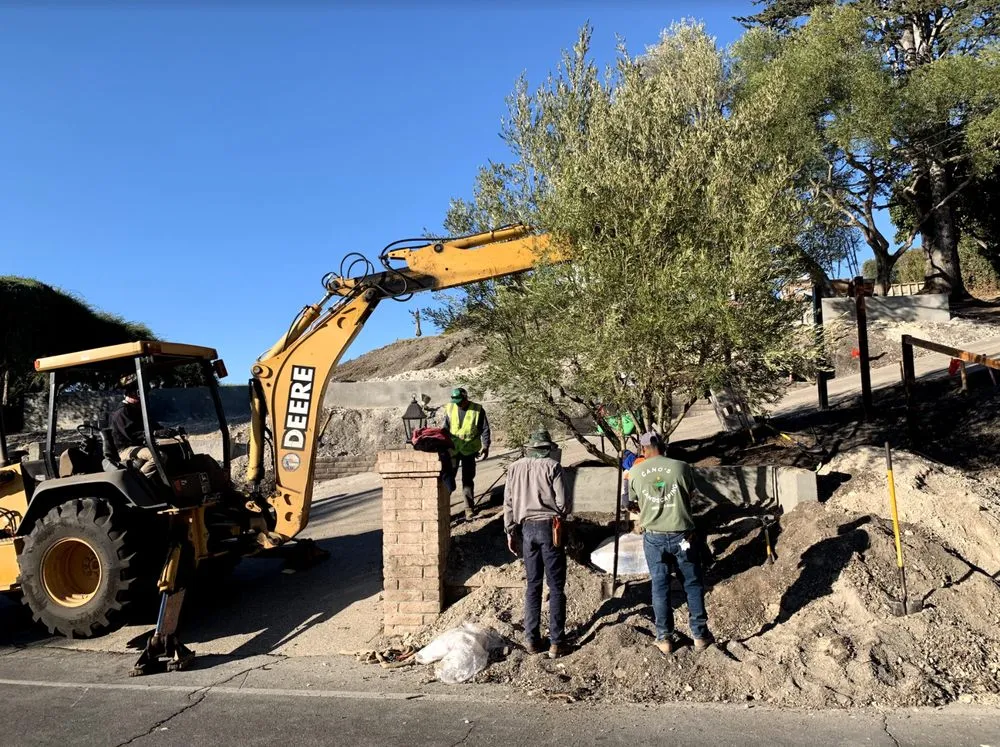 Top-rated residential landscaping experts serving Santa Barbara, CA - Canos Landscaping