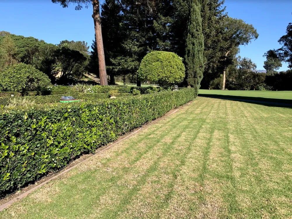 Custom landscape design for outdoor upgrades across Santa Barbara, CA - Canos Landscaping