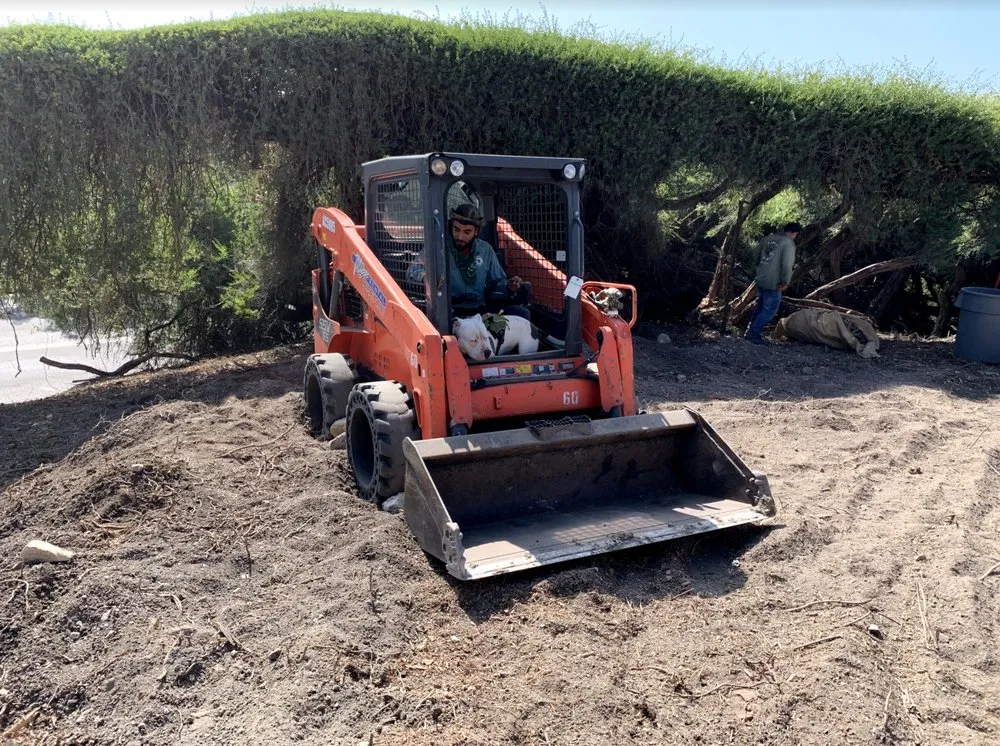 Affordable residential landscaping for residential properties in Santa Barbara, CA by Canos Landscaping