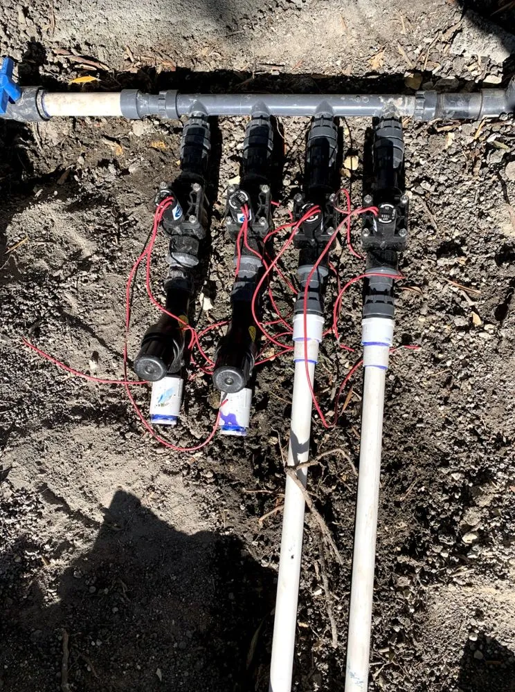 Reliable landscaping services in Santa Barbara, CA by Canos Landscaping