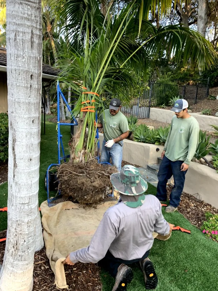 Professional landscaping services in Santa Barbara, CA by Canos Landscaping