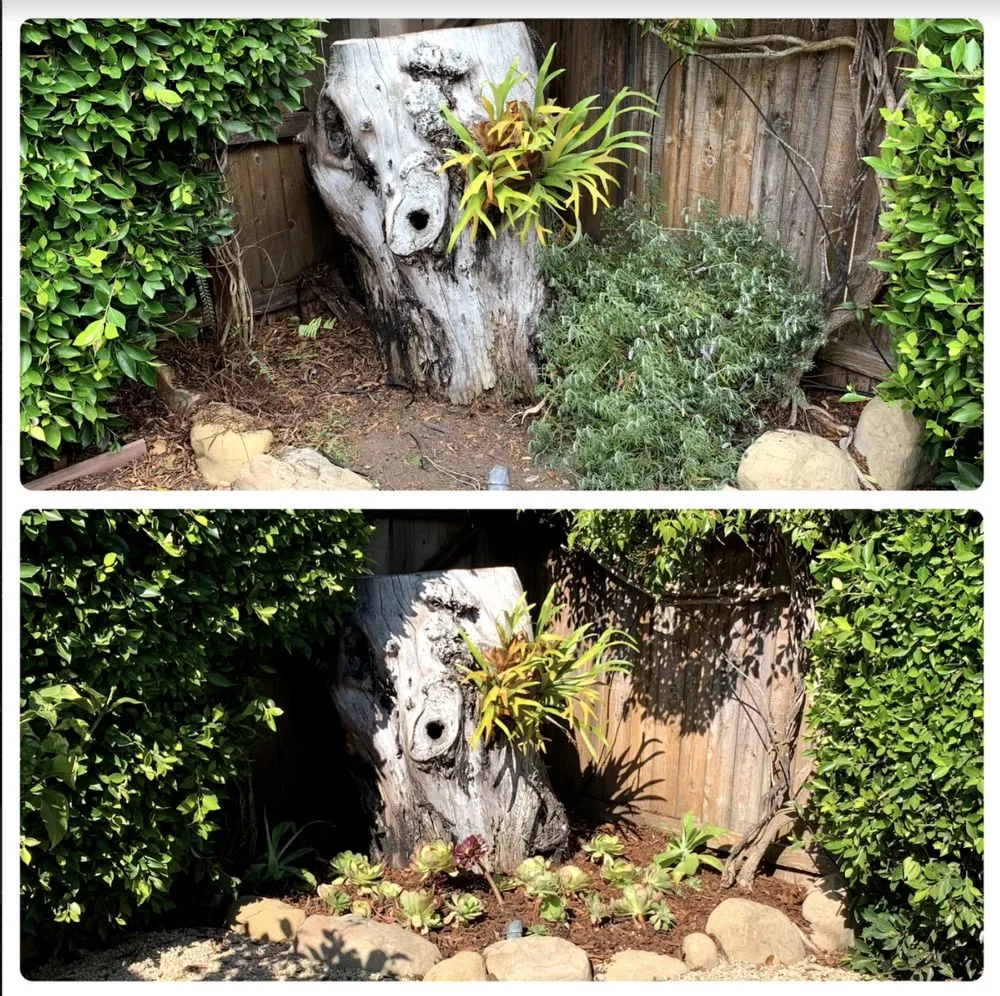 Expert landscape installation in Santa Barbara, CA - Canos Landscaping