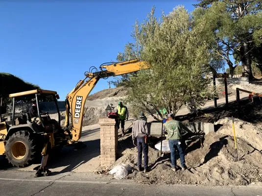 Canos Landscaping Logo