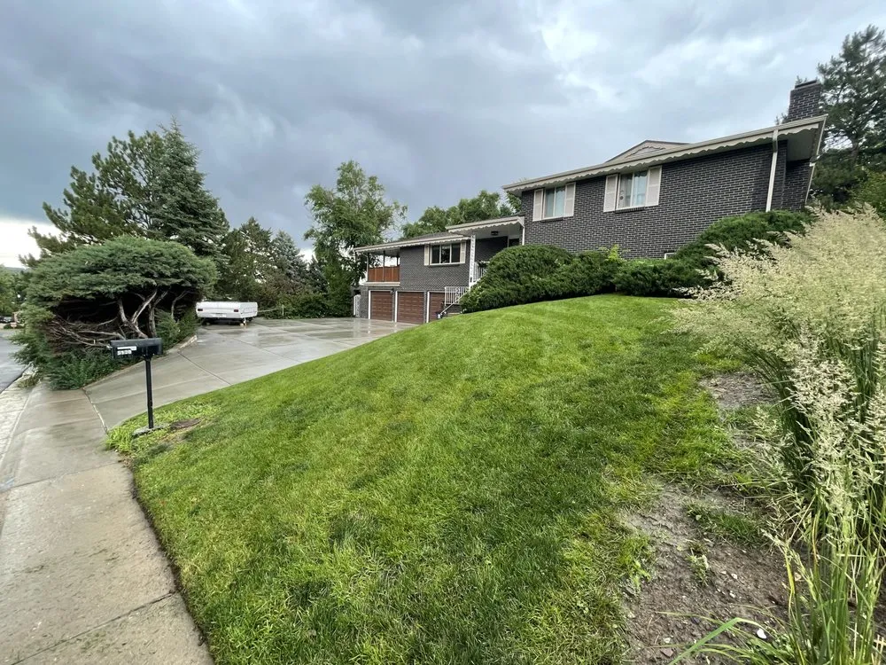 Top-rated lawn care service experts serving Fort Lupton, CO - Cano's lawn services