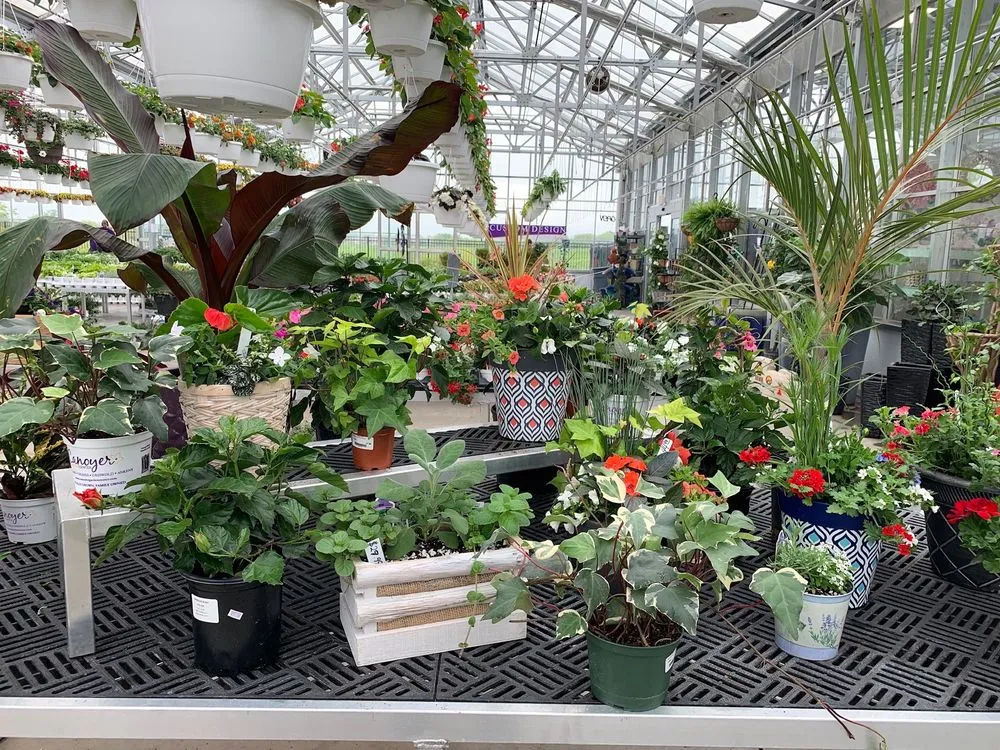 Expert landscape installation experts serving Grimes, IA - Canoyer Garden Center