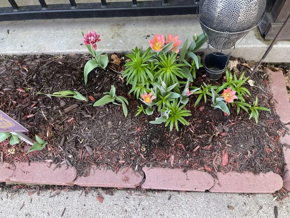 Affordable garden landscaping in Grimes, IA by Canoyer Garden Center