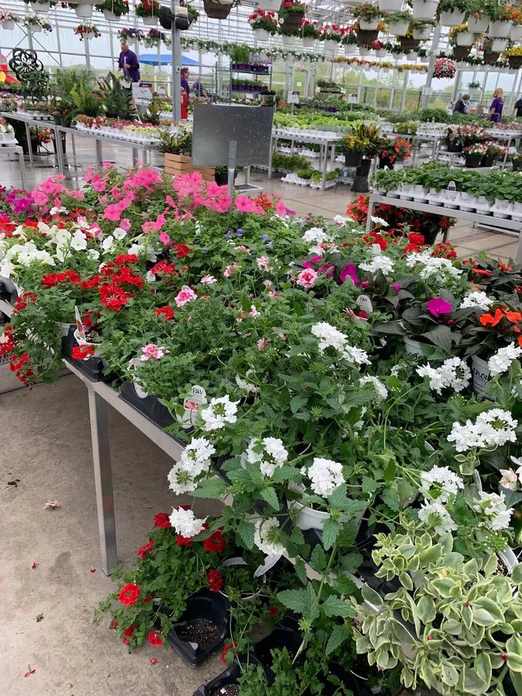 Top-rated lawn care service experts serving Grimes, IA - Canoyer Garden Center