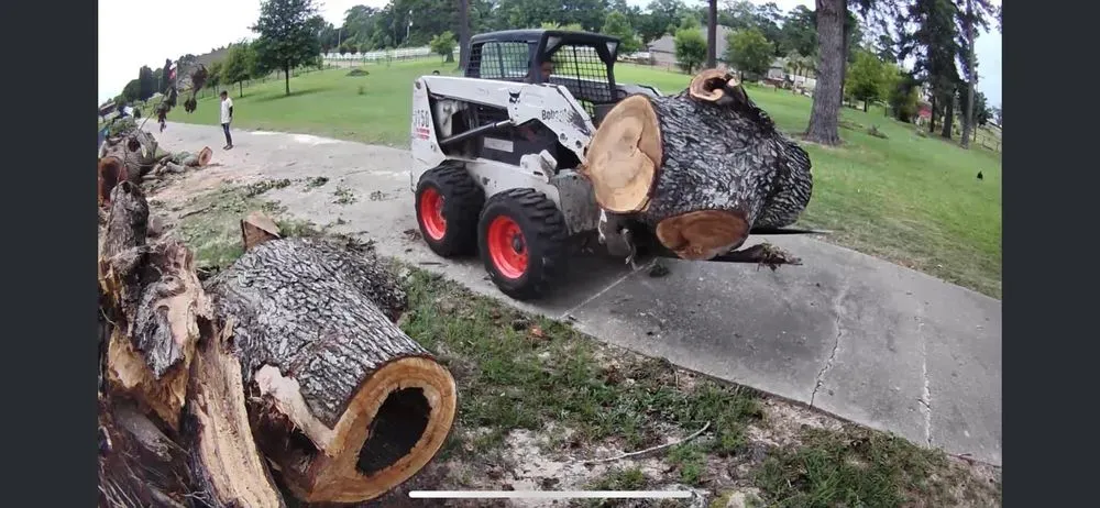 Local yard cleanup service in Longview, TX by Canseco Lawn and Tree Service