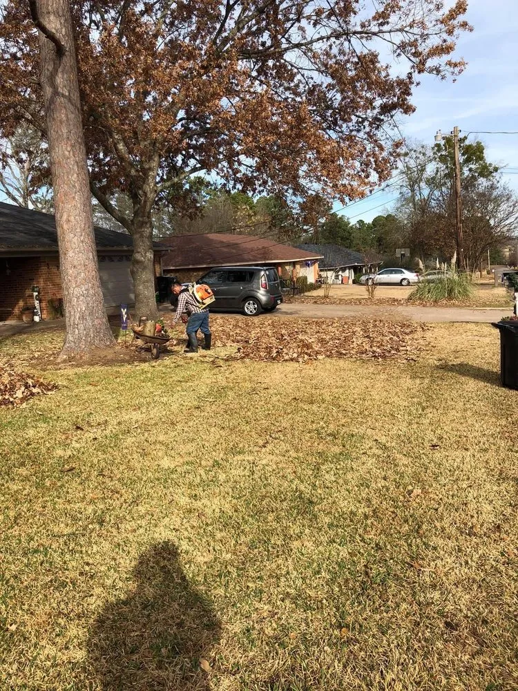 Professional yard cleanup service experts serving Longview, TX - Canseco Lawn and Tree Service