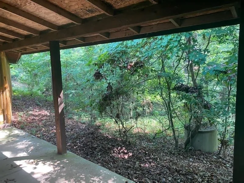 Top-rated lawn care service in Longview, TX - Canseco Lawn and Tree Service