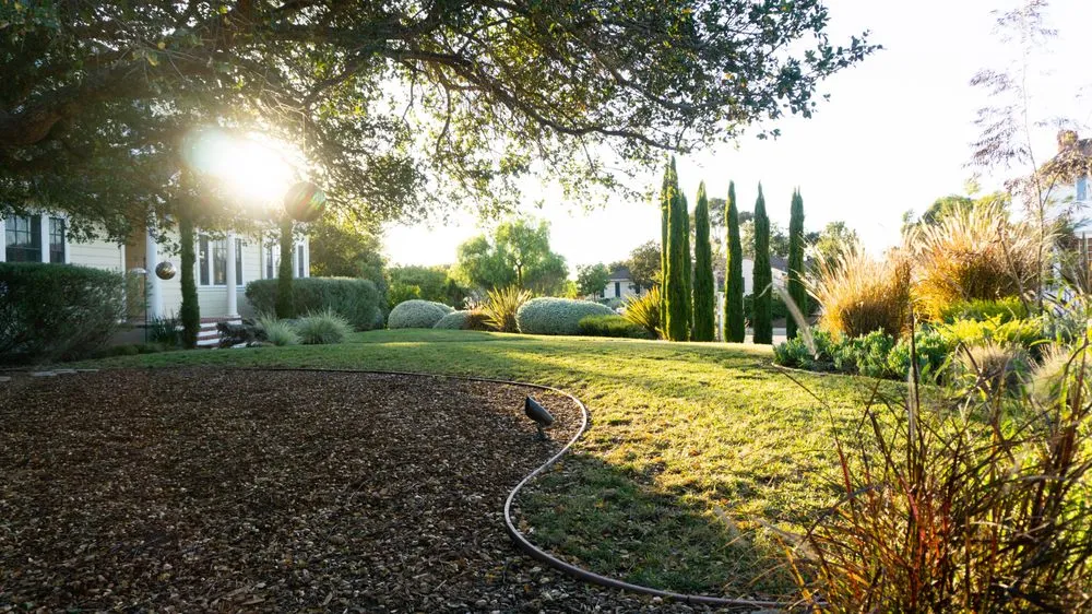 Reliable landscaping services experts serving Santa Barbara, CA - Canseco’s Gardening Services