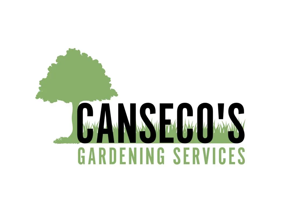 Professional yard maintenance experts serving Santa Barbara, CA - Canseco’s Gardening Services