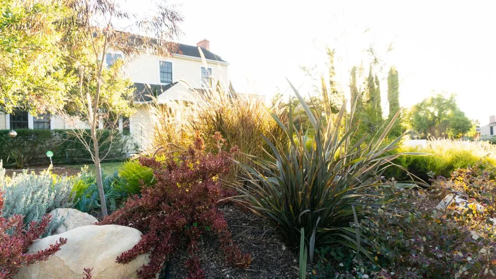 Affordable yard maintenance in Santa Barbara, CA - Canseco’s Gardening Services