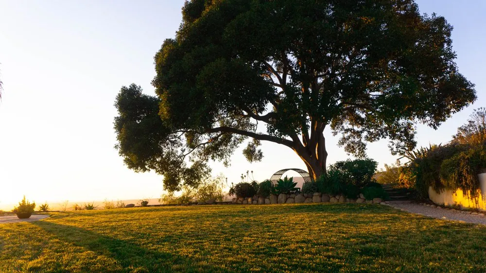 Professional garden landscaping for beautiful yards across Santa Barbara, CA - Canseco’s Gardening Services