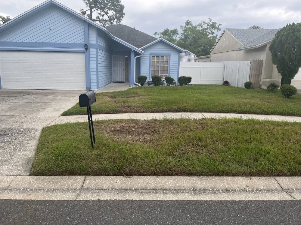 Professional landscaping services in Pine Hills, FL - Can’t Guard Me