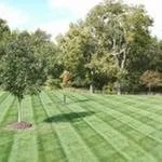 Top-rated yard cleanup service experts serving Lithia Springs, GA - Can't Stop-Reginald Jenkins