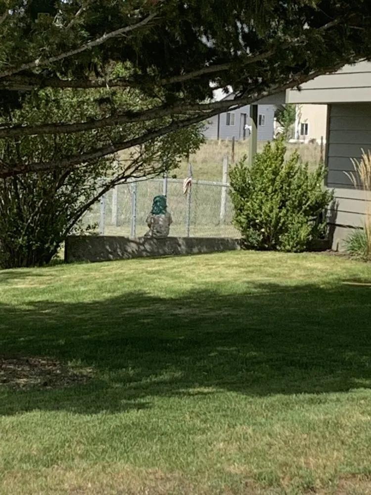 Custom outdoor landscaping experts serving Missoula, MT - Cant Wait Clean-Up