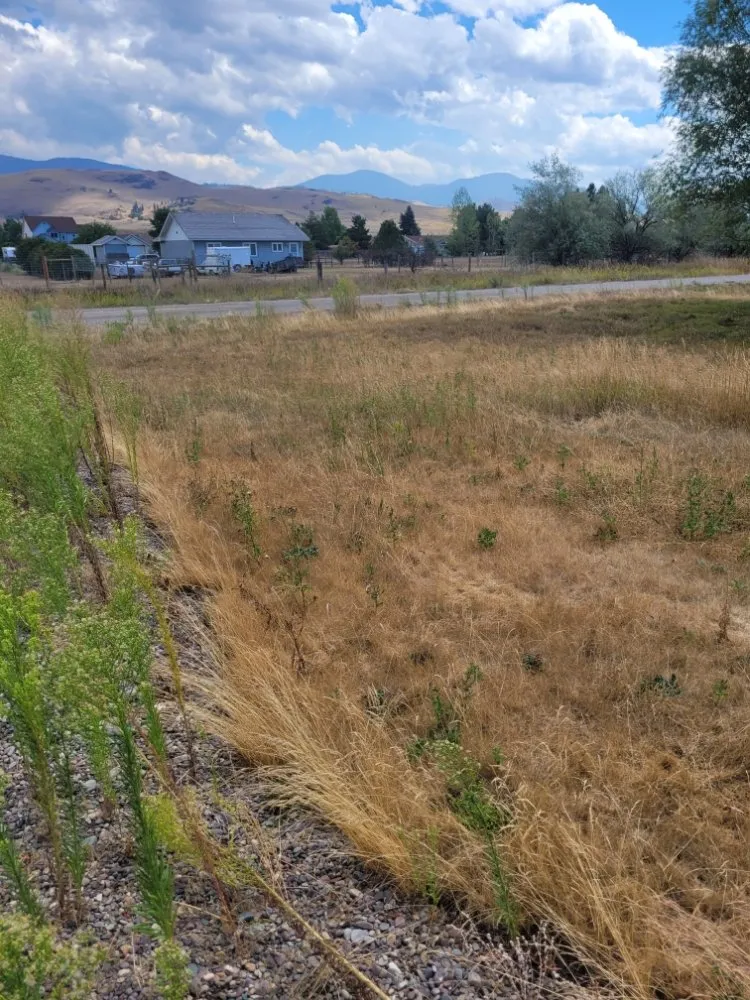 Local landscape design experts serving Missoula, MT - Cant Wait Clean-Up