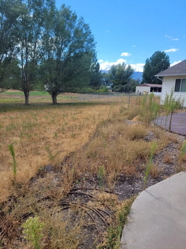 Local residential landscaping experts serving Missoula, MT - Cant Wait Clean-Up