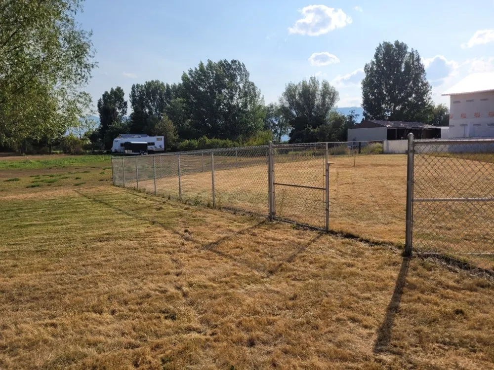 Reliable yard cleanup service experts serving Missoula, MT - Cant Wait Clean-Up