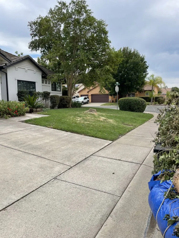 Trusted yard cleanup service near you in Yuba City, CA by Cantarero Lawn Service