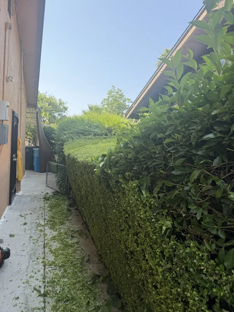 Custom outdoor landscaping for homes across Yuba City, CA - Cantarero Lawn Service