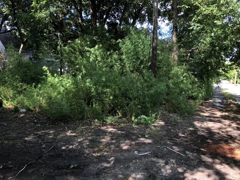 Affordable residential landscaping experts serving Denison, TX - Canter GCS