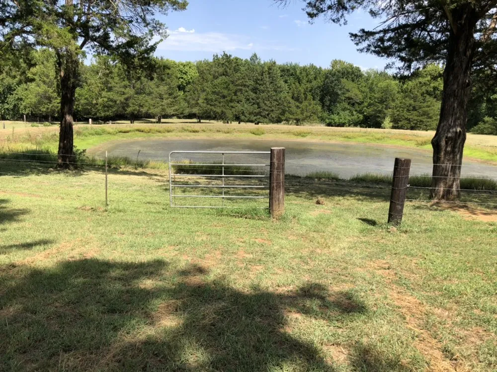 Professional yard cleanup service in Denison, TX by Canter GCS