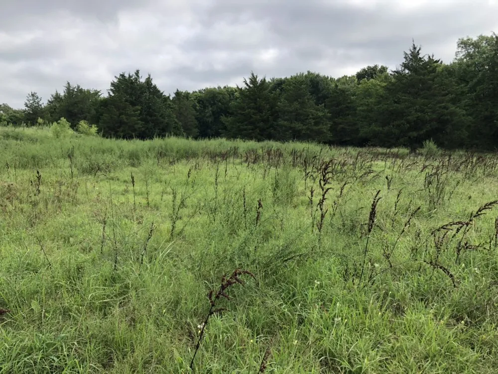 Professional lawn mowing service in Denison, TX - Canter GCS