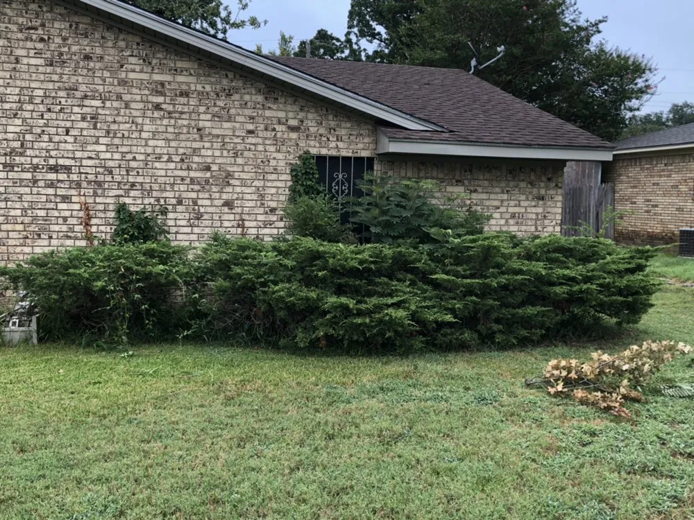 Local landscaping services for residential properties across Denison, TX - Canter GCS