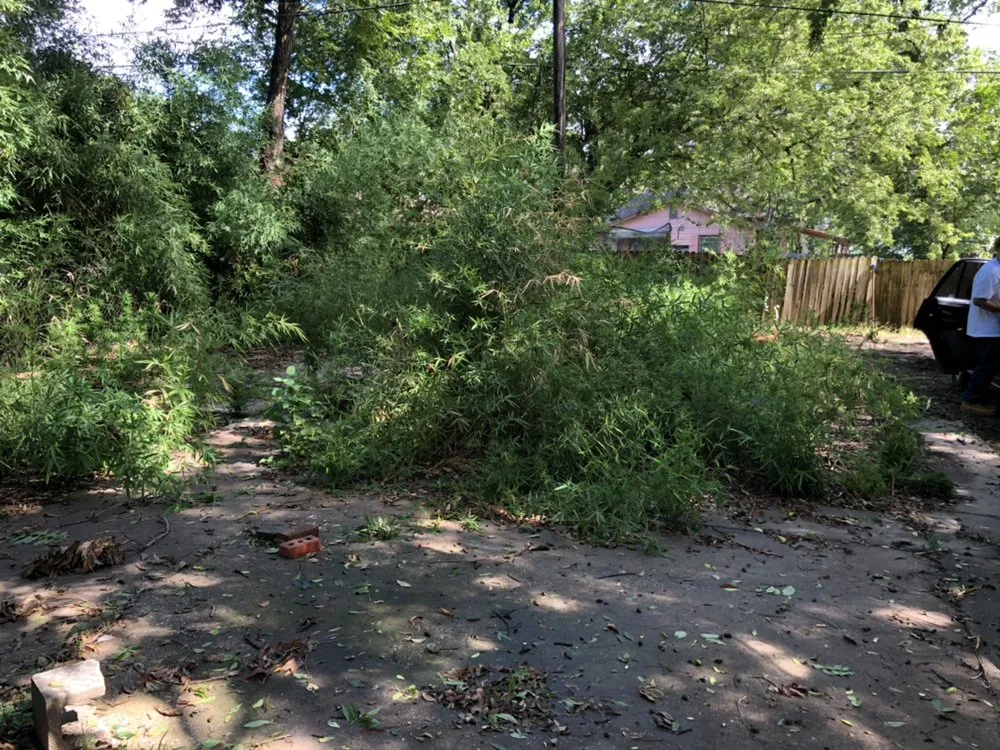 Professional landscape installation with custom design in Denison, TX by Canter GCS
