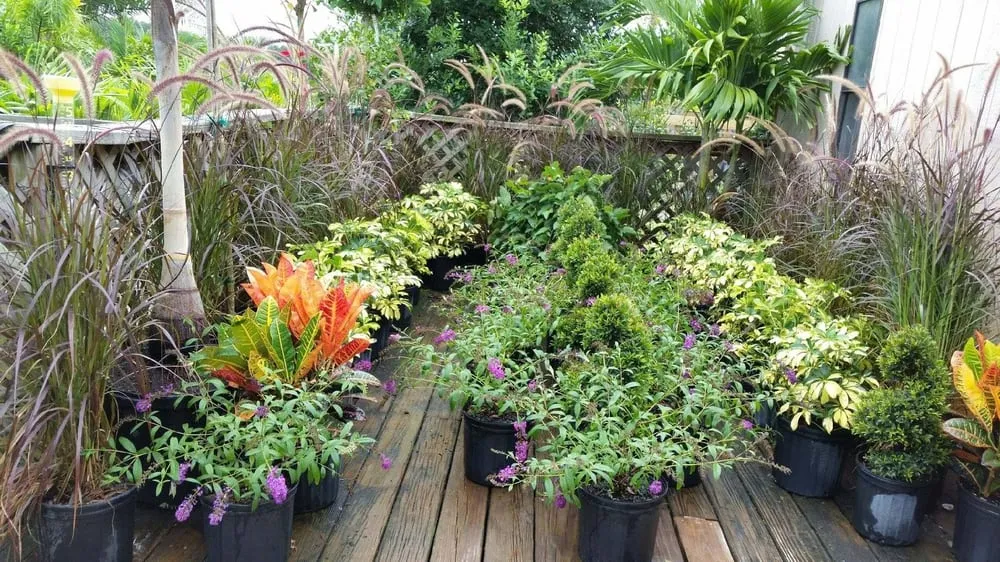 Trusted landscaping services in Hudson, FL - Canterbury Farms Wholesale Nursery