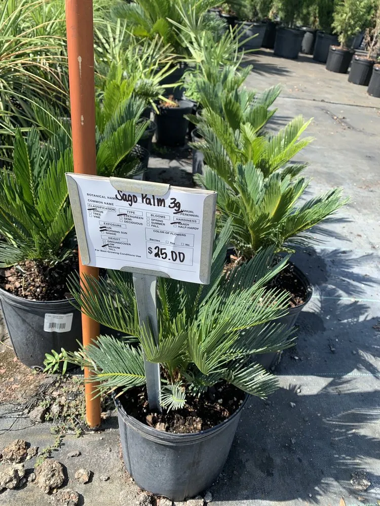 Affordable garden landscaping in Hudson, FL by Canterbury Farms Wholesale Nursery