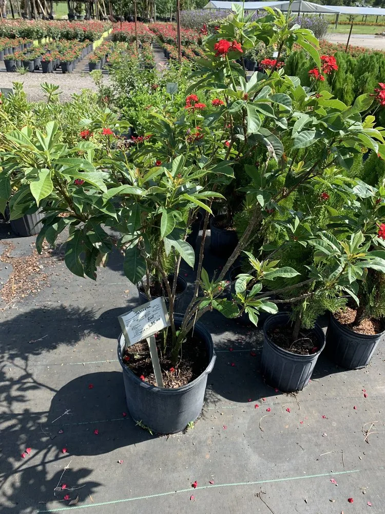 Custom residential landscaping with custom design across Hudson, FL - Canterbury Farms Wholesale Nursery