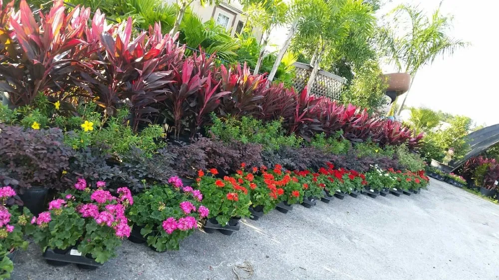 Affordable landscape design in Hudson, FL - Canterbury Farms Wholesale Nursery